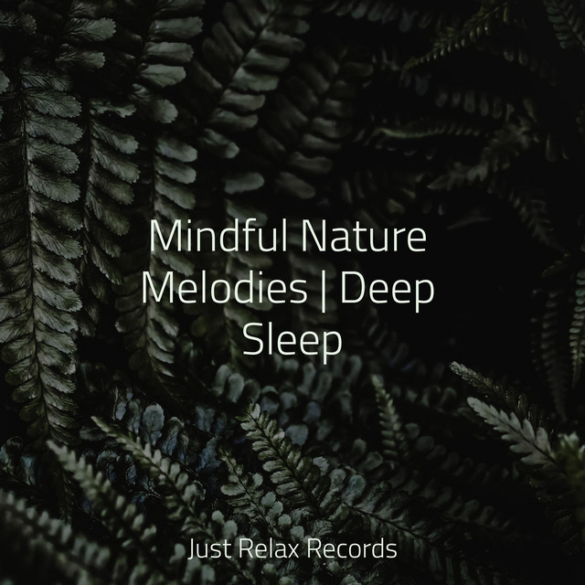 Mindful Nature Melodies | Deep Sleep - Album by Musica Reiki | Spotify