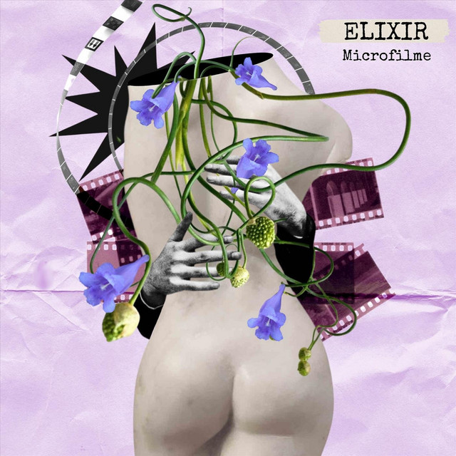Microfilme cover art