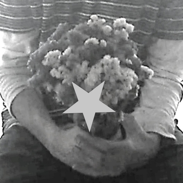 las flores que me diste cover art
