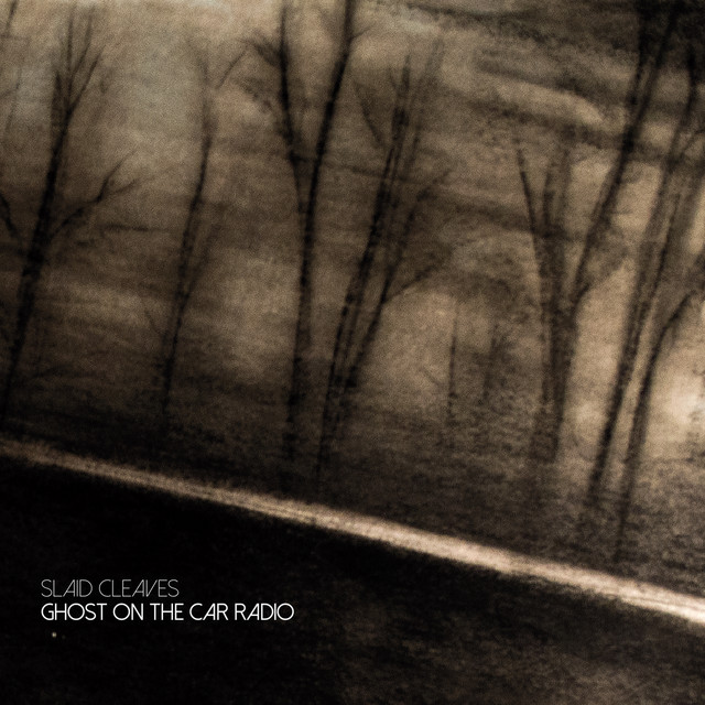 Ghost on the Car Radio cover art