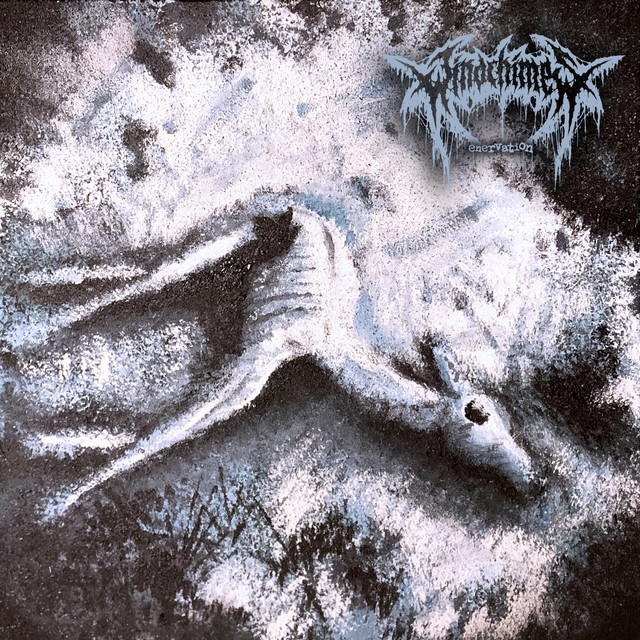 Enervation cover art