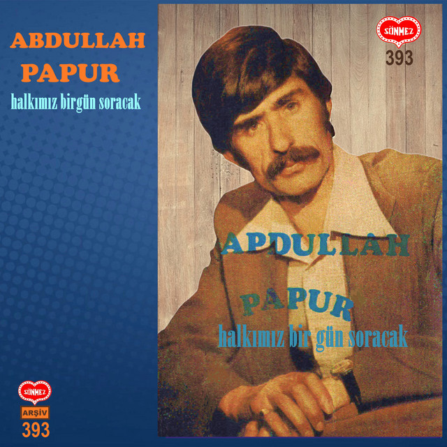 Halkımız Birgün Soracak cover art