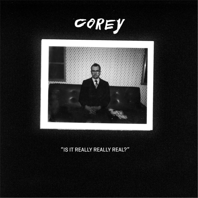 Is It Really Really Real? cover art