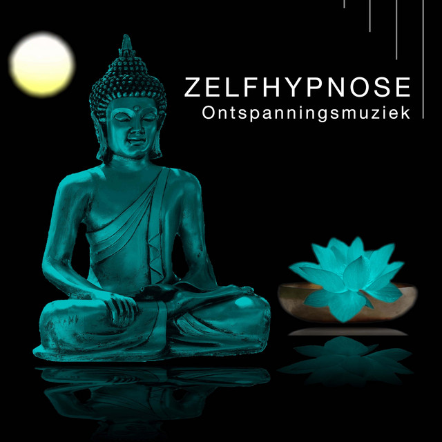 Woedebeheersing cover art