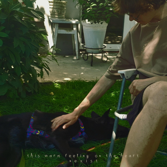 Обкладинка: this warm feeling on the heart — nexist