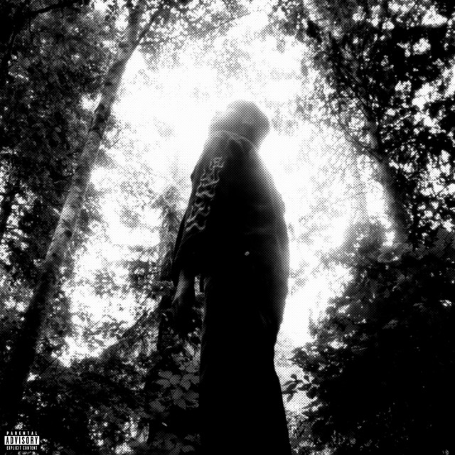 DO YOU SEE ME IN THE STARS? cover art