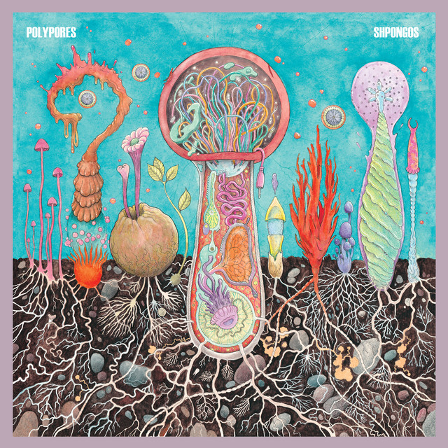 Shpongos cover art