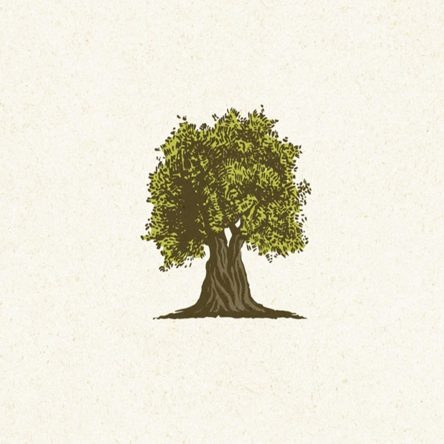 Olive Branch cover art