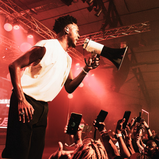 undefined album image