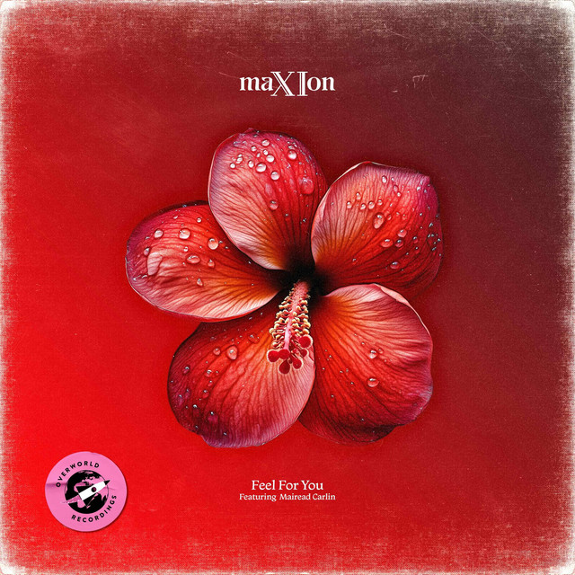 Feel For You cover art