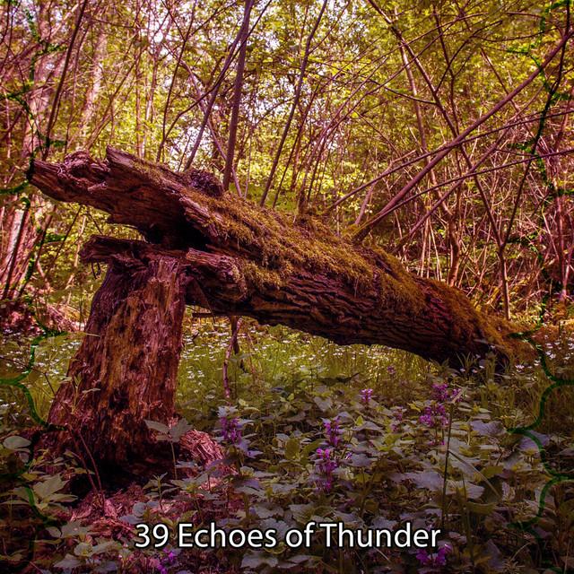 39 Echoes of Thunder cover art