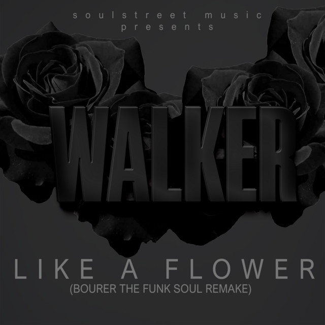 Walker | Spotify