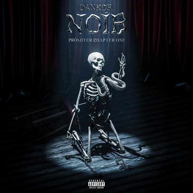 NOİB cover art