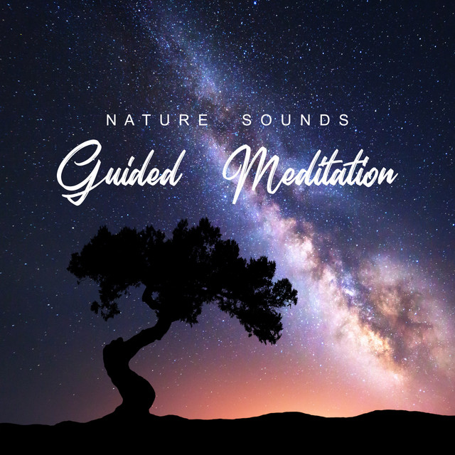Guided Meditation - Nature Sounds cover art