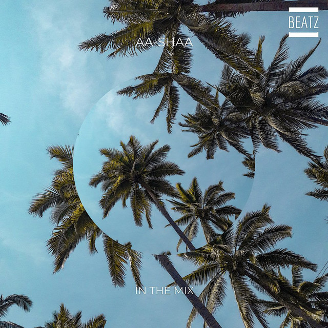 AA-Shaa in The Mix cover art