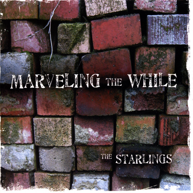 The Starlings Photo