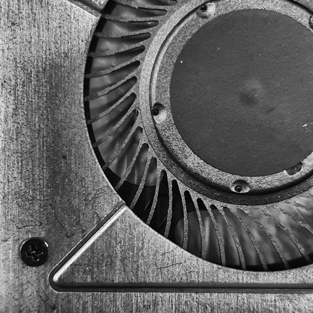 Rotor