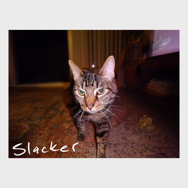 Slacker cover art