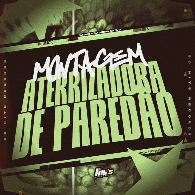MONTAGEM ATERRIZADORA DE PAREDÃO