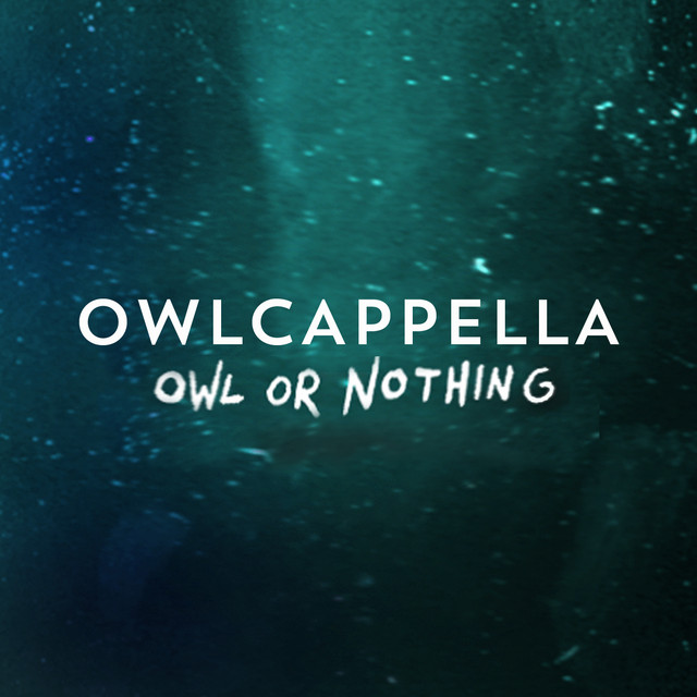 Owl or Nothing cover art