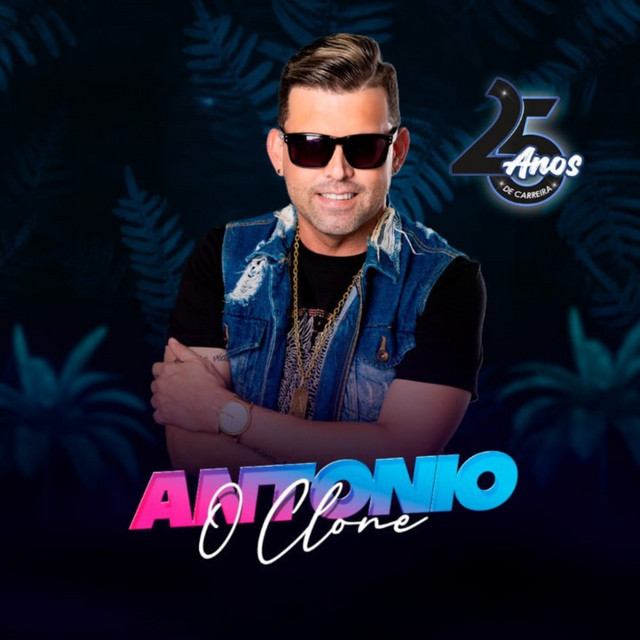25 Anos de Carreira cover art