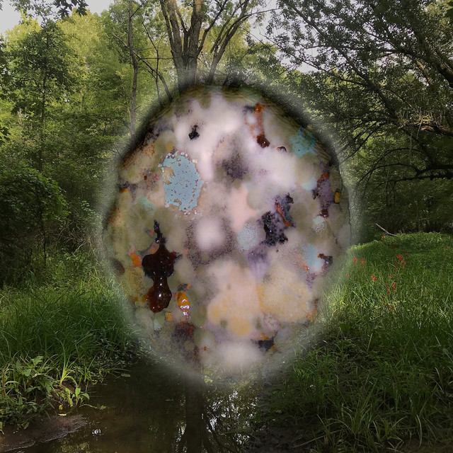 Face First In The Entangled cover art