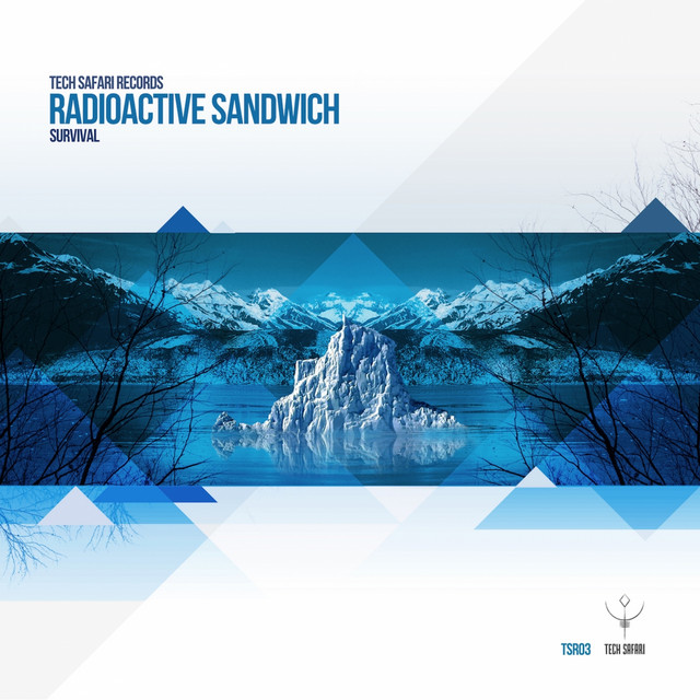 Survival cover art