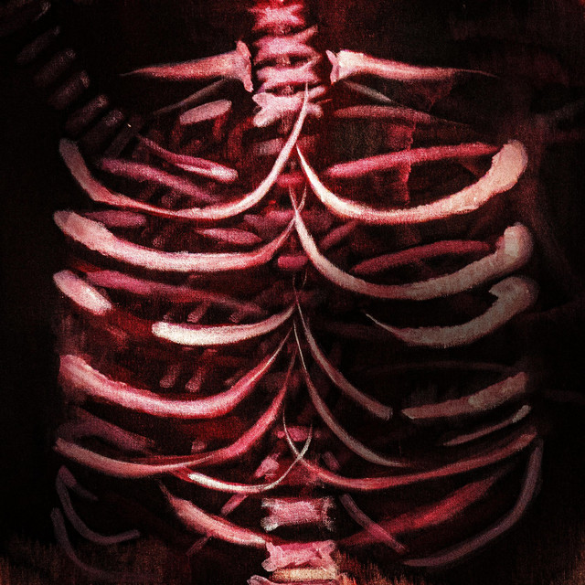 LIESSE cover art