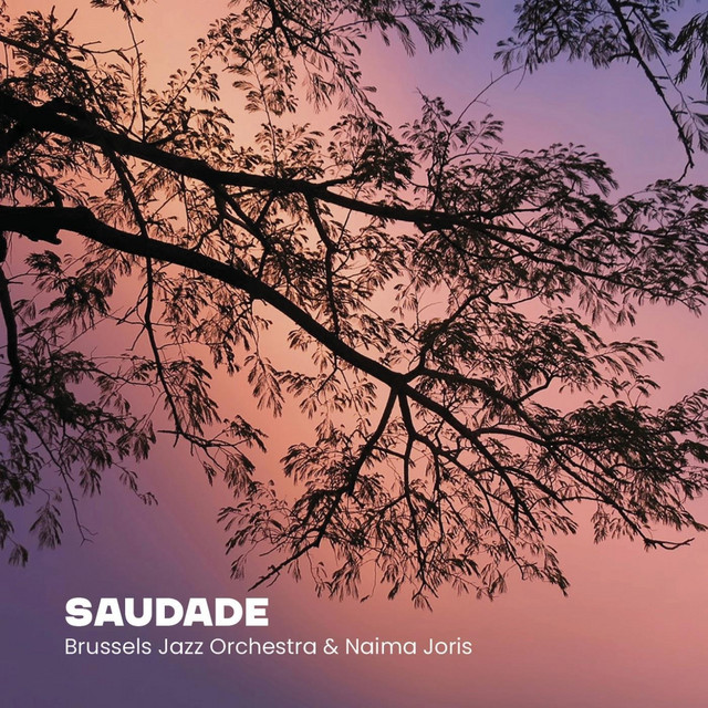Saudade cover art