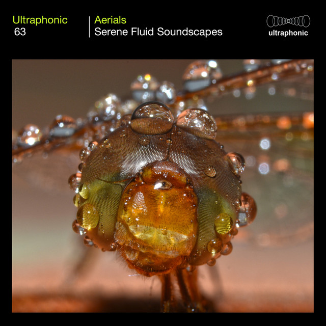 Aerials cover art