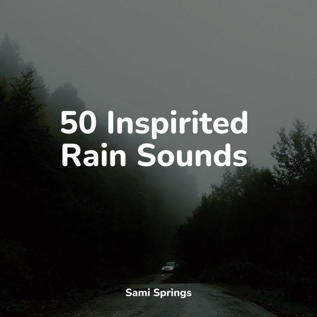 50 Inspirited Rain Sounds cover art