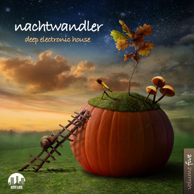 Nachtwandler, Vol. 5 - Deep Electronic House cover art