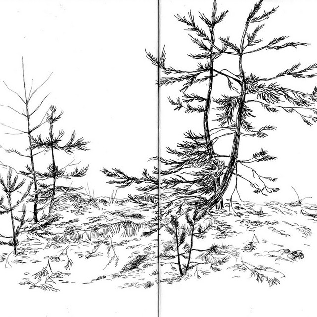 The Leaves cover