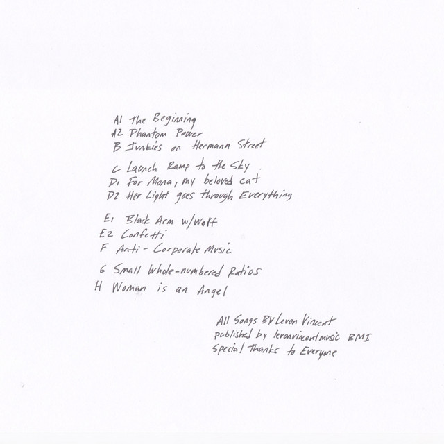 Levon Vincent cover art