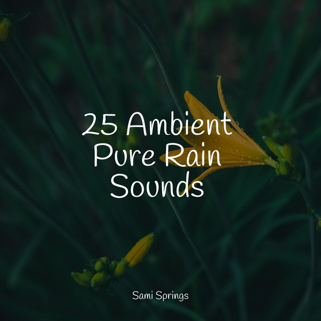 25 Ambient Pure Rain Sounds - Album by Relajantes sonidos de lluvia ...