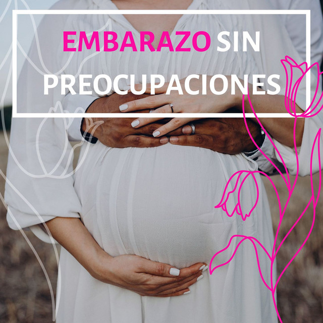 Preparándose para un Bebé cover art