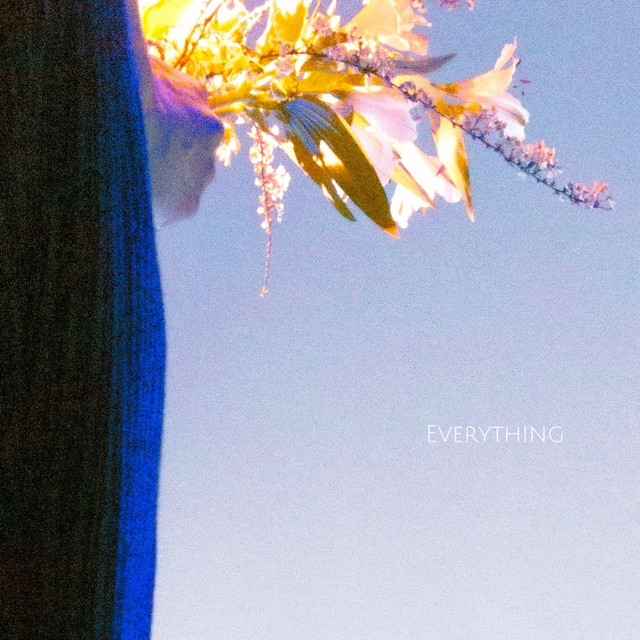 Everything cover art