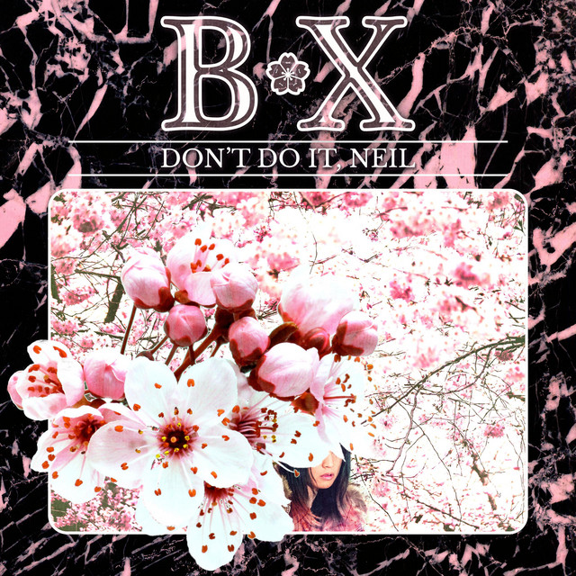 B/X cover art