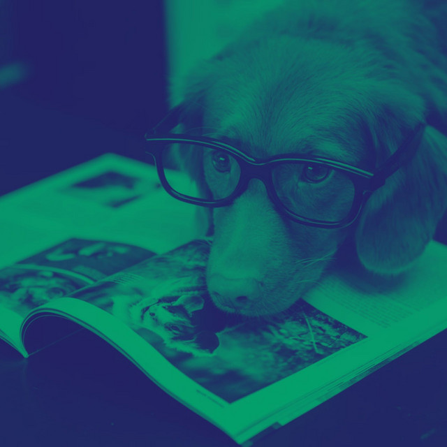Acoustic Guitars Solo (Music for Lonely Puppies) cover art