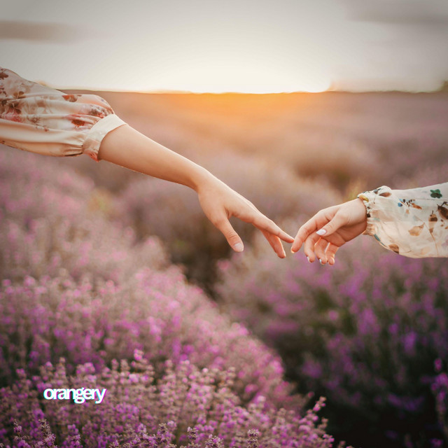 Обкладинка: In The Morning — orangery
