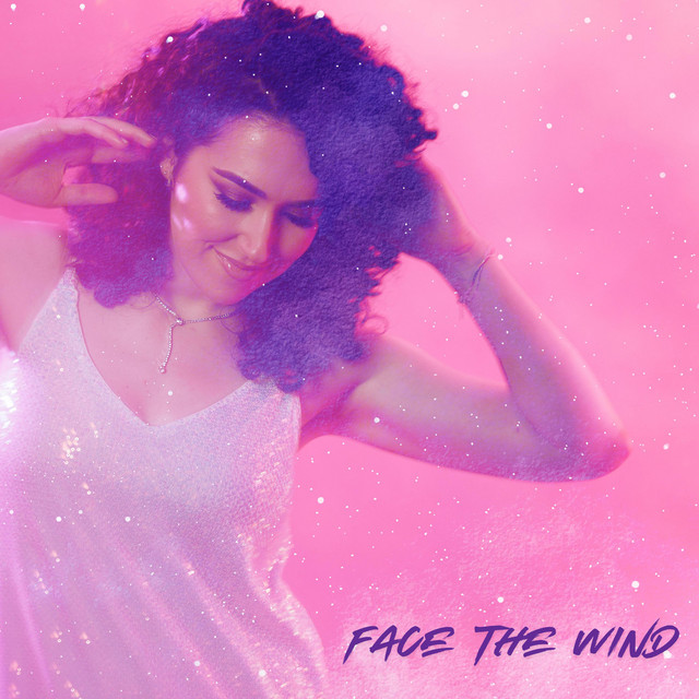 Face the Wind cover