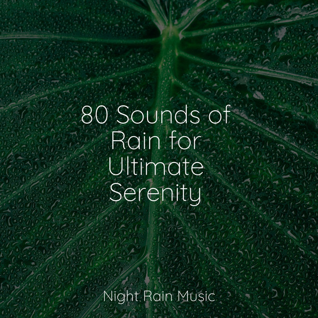 80 Sounds of Rain for Ultimate Serenity cover art