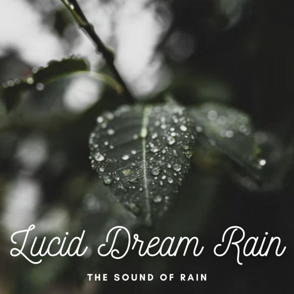 The Sound of Rain: Lucid Dream Rain - Album by Thunderstorm | Spotify