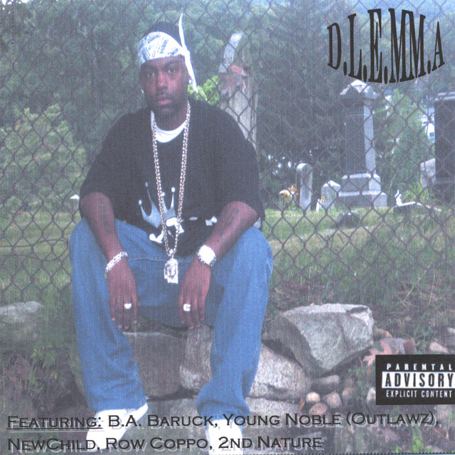 D.L.E.MM.A cover art