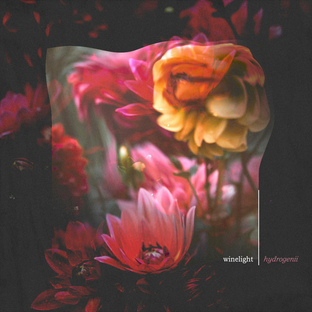 Winelight cover