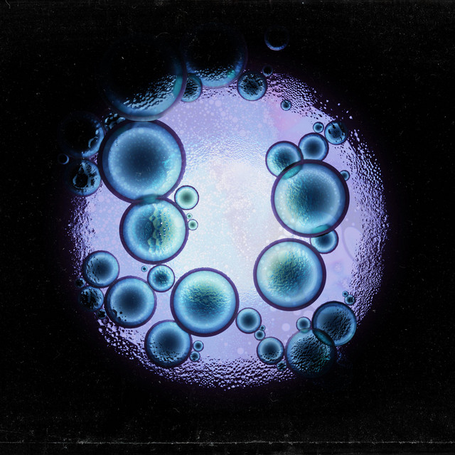 The Foundation cover art