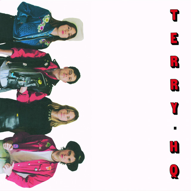 Terry HQ cover art