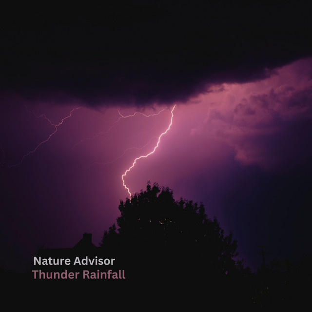 Thunder Rainfall cover art