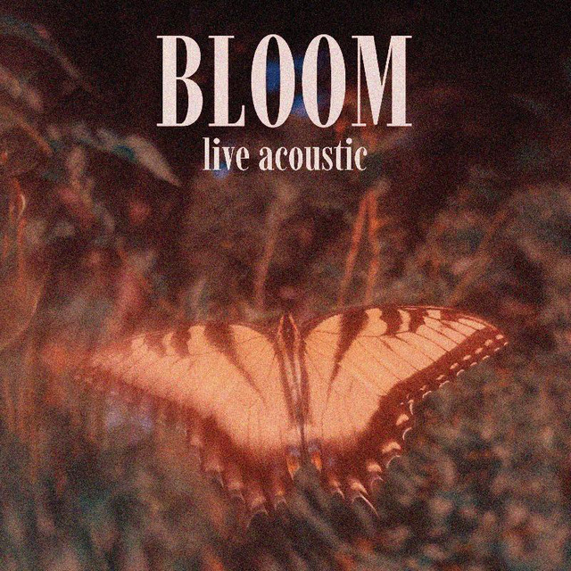 Bloom (live acoustic) cover