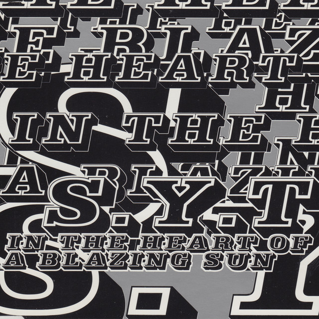 In The Heart Of A Blazing Sun cover